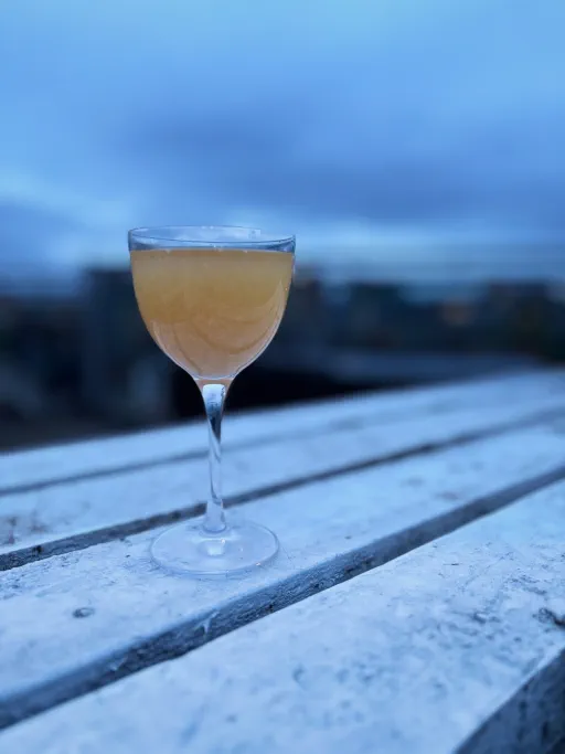 Bradstreet's Paw Image