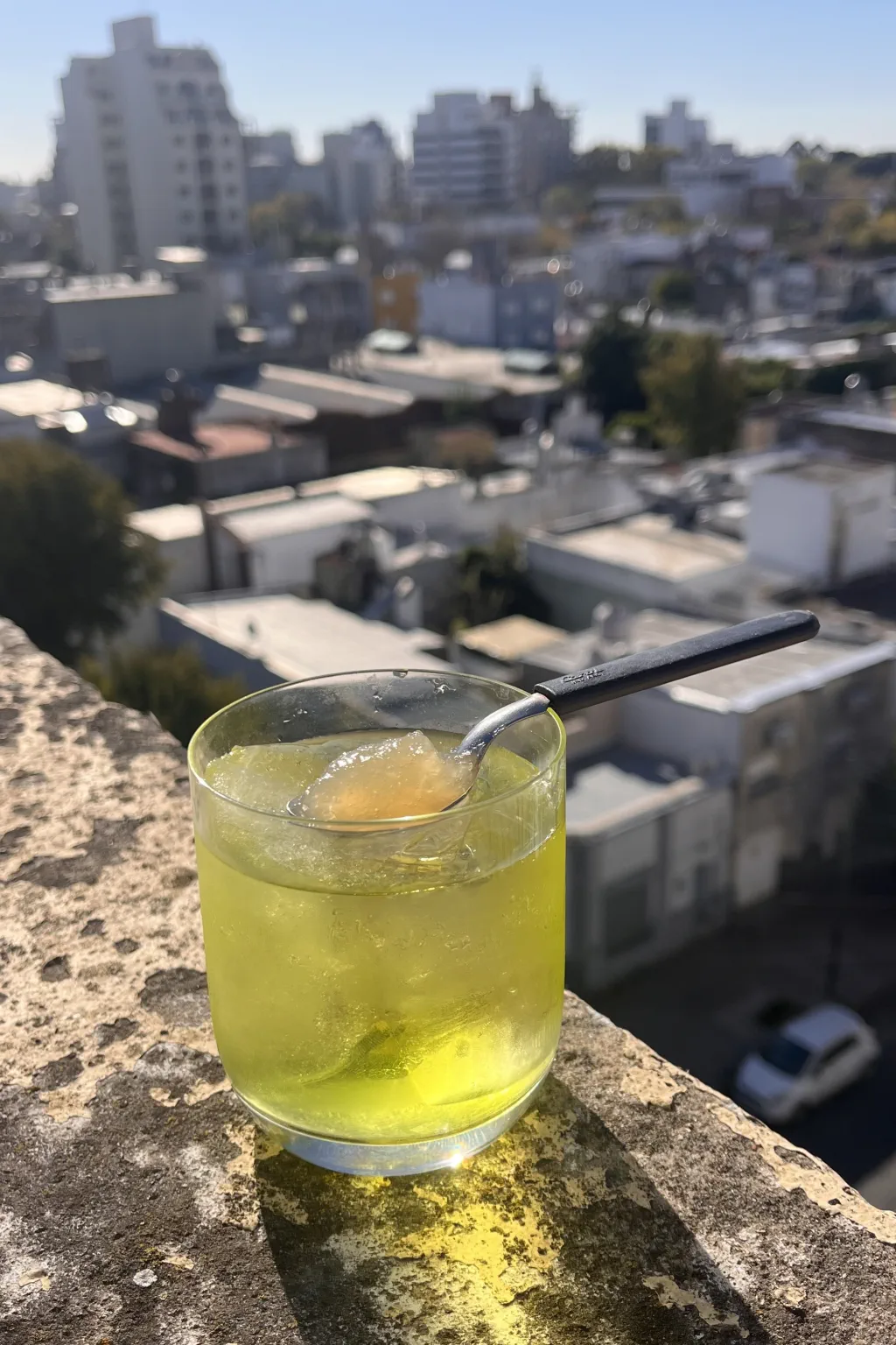 Opus martini