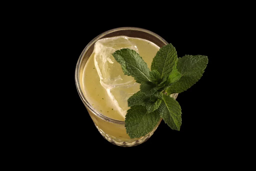 Make a Mint lifestyle image