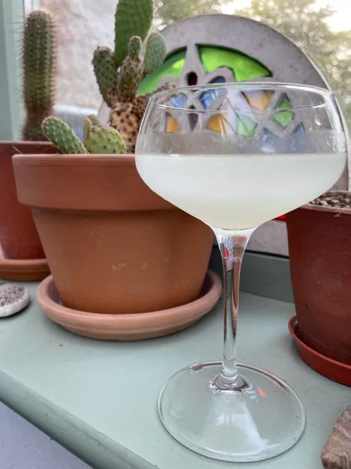 Papawahaquarita Image