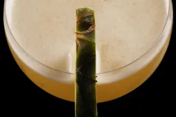 Pineapple & Cardamom Daiquiri lifestyle thumbnail