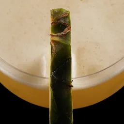Pineapple & Cardamom Daiquiri image