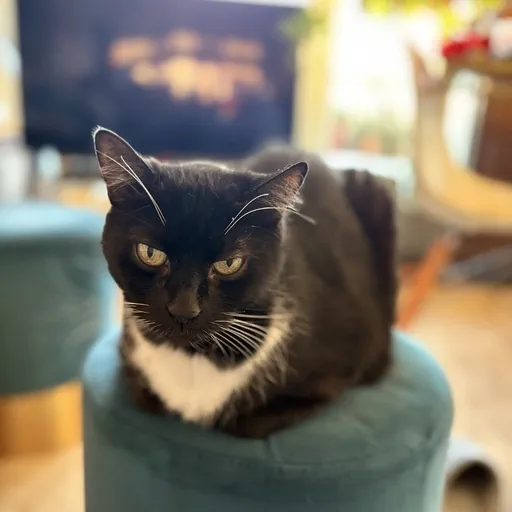 Potions Class vom 20.03.2026