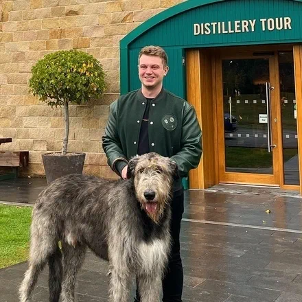 Josh Chapman&rsquo;s avatar