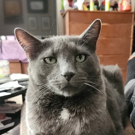 Calvin Grant&rsquo;s Avatar