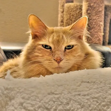 Calvin Grant&rsquo;s Avatar