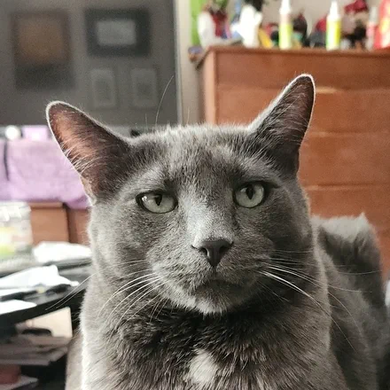 Calvin Grant&rsquo;s Avatar