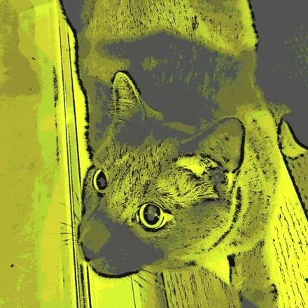 Calvin Grant&rsquo;s Avatar