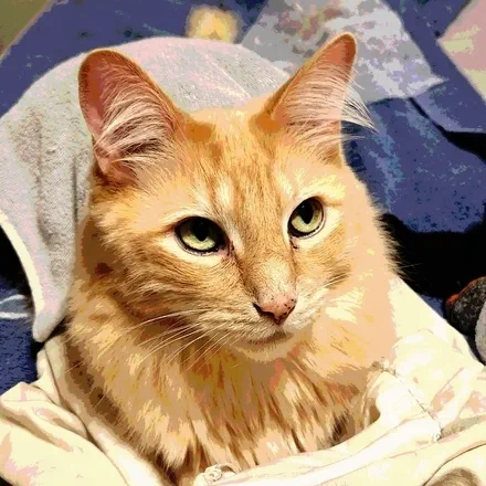 Calvin Grant&rsquo;s Avatar