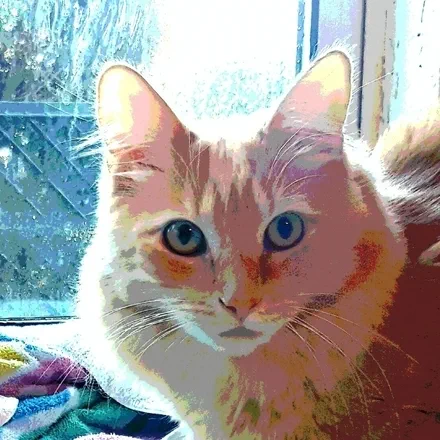 Calvin Grant&rsquo;s Avatar