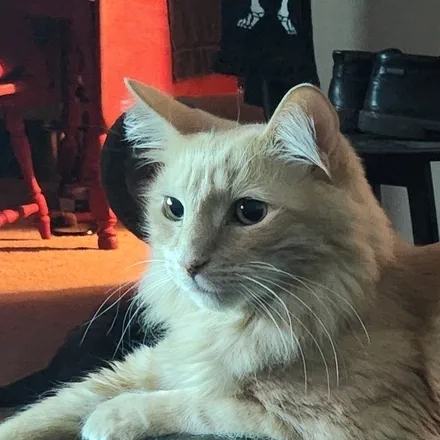 Calvin Grant&rsquo;s Avatar