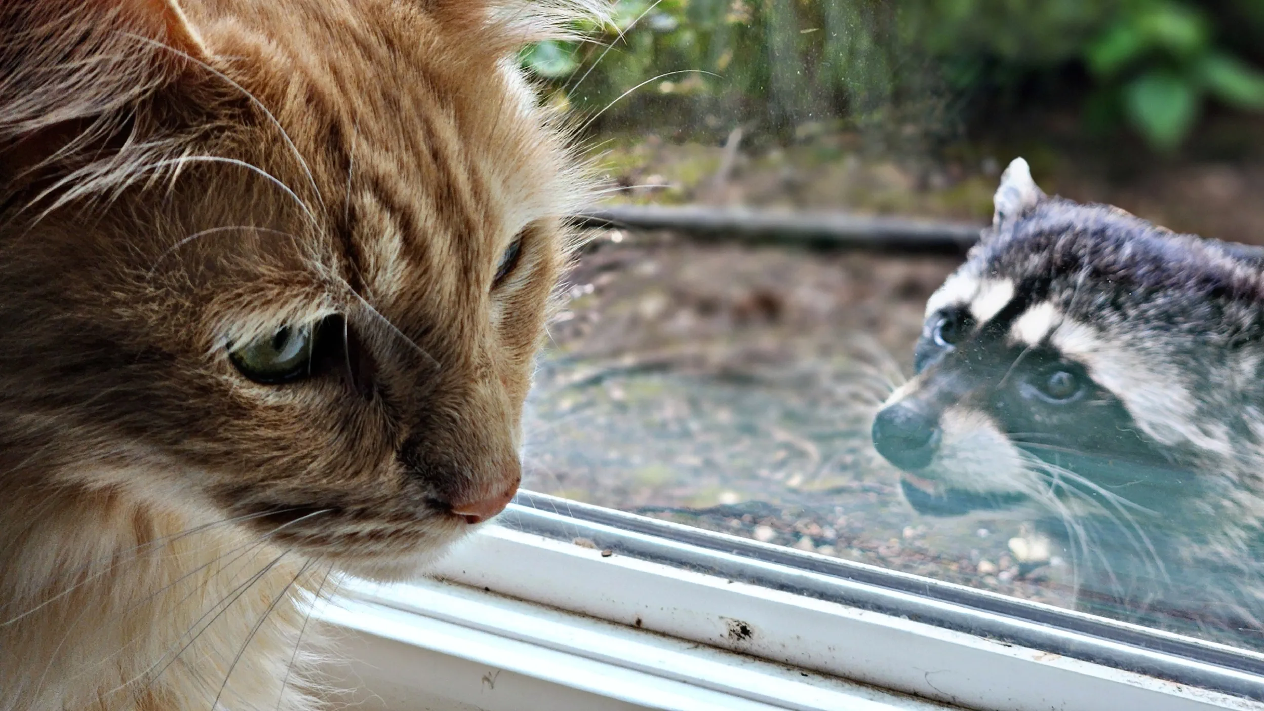 Calvin Grant header image