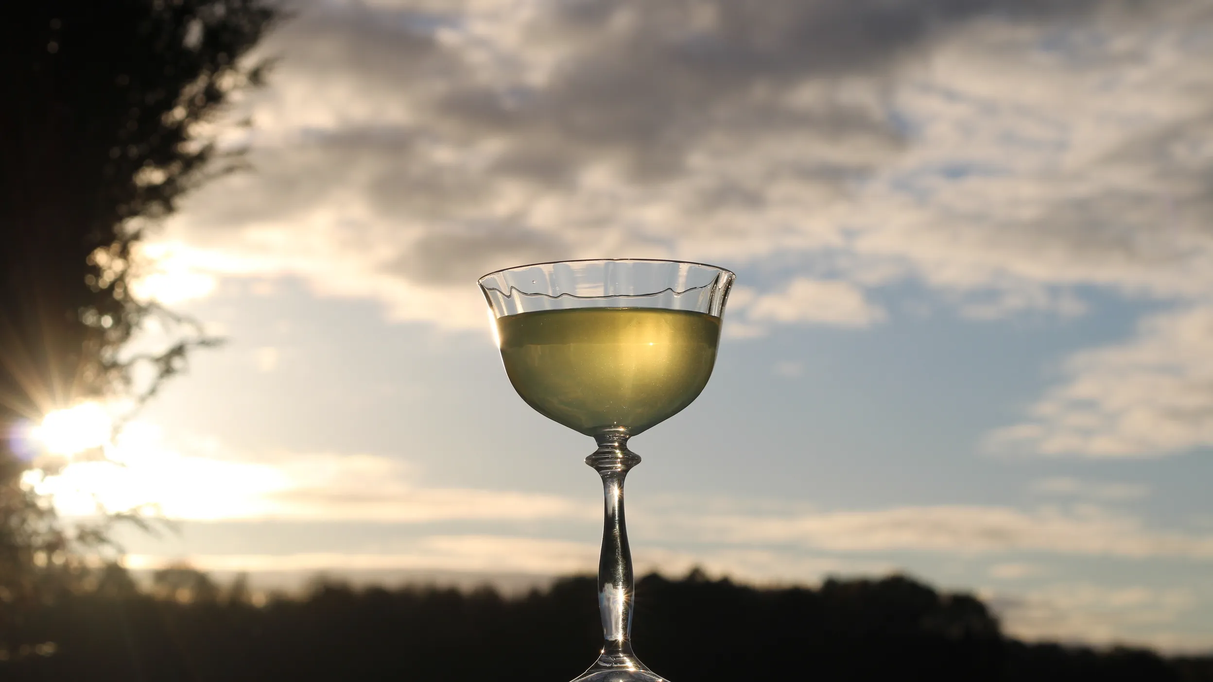 Nicolas Housseau header image