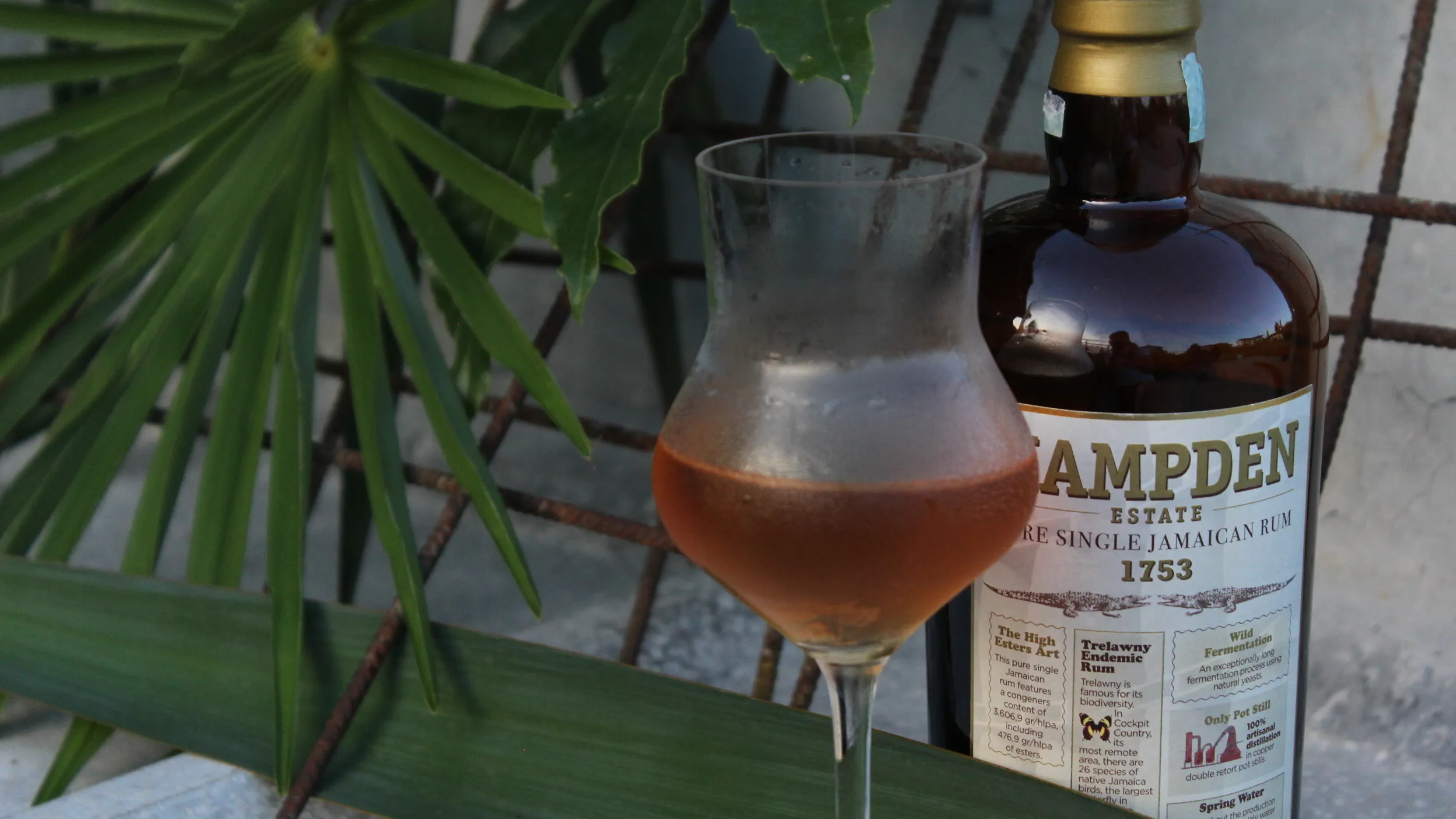 Andrea Grassi header image