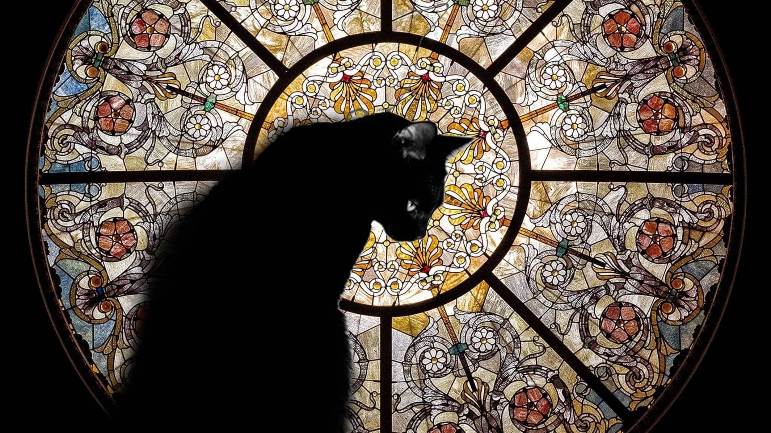 Chris Lamb header image