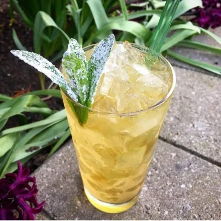 Rüber Drinks&rsquo; Avatar