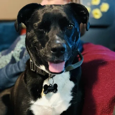 Daniel Ortiz&rsquo;s Avatar