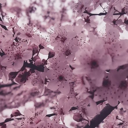 Gabrielle14&rsquo;s Avatar