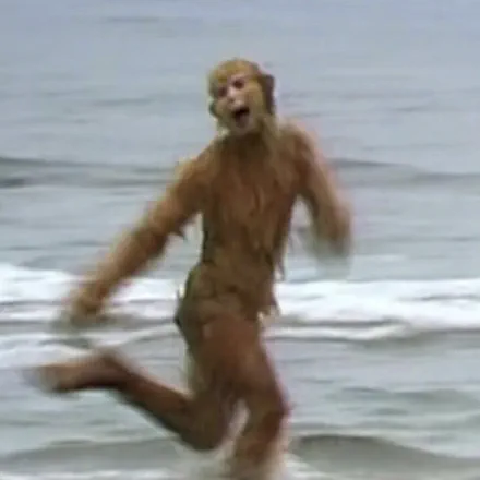 杨帅 白’s avatar